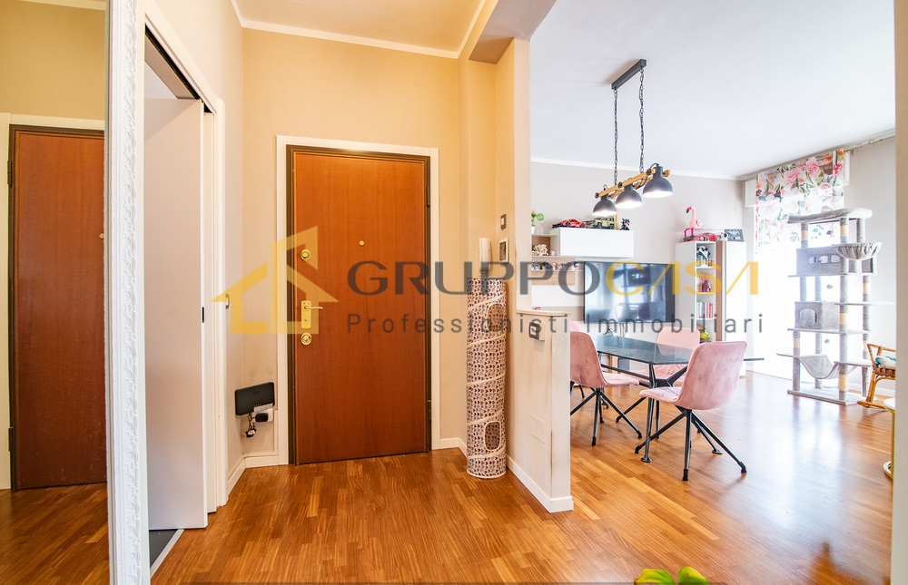 COLOGNO M.SE: zona centro