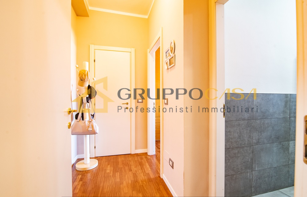 COLOGNO M.SE: zona centro