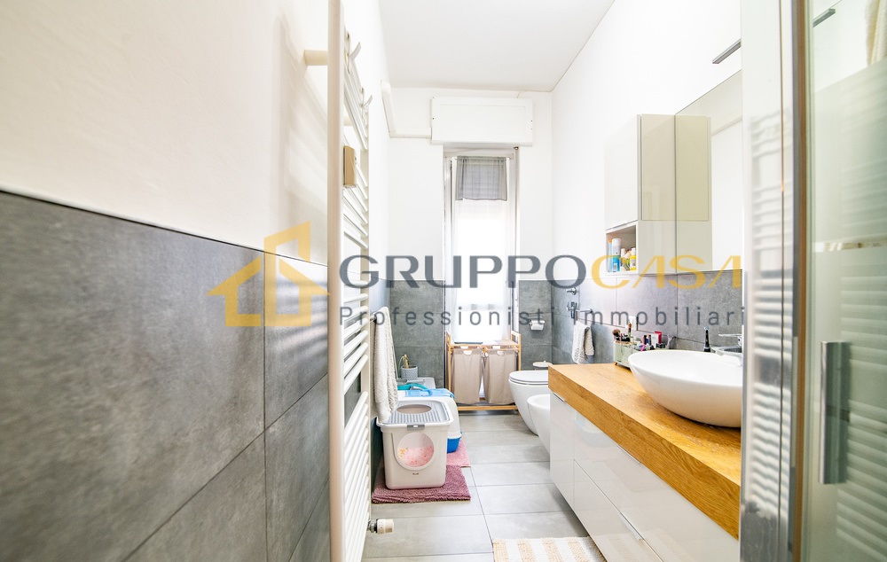 COLOGNO M.SE: zona centro
